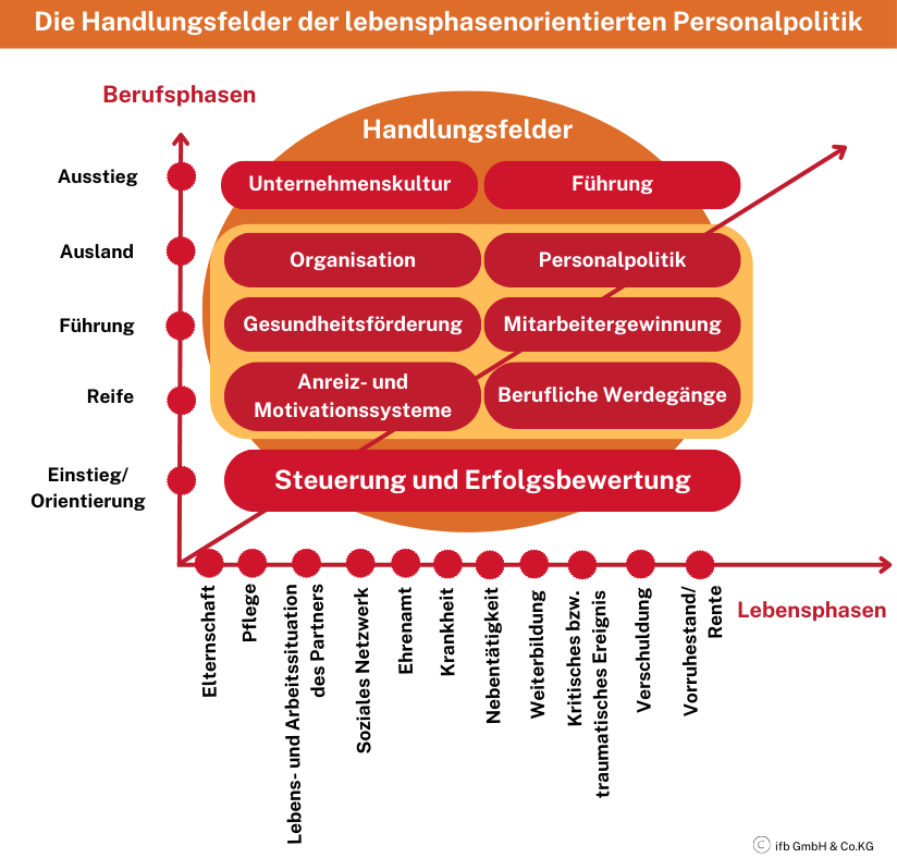 Handlungsfelder lebensphasenorientierte Personalpolitik | © ifb GmbH & Co.KG Handlungsfelder lebensphasenorientierte Personalpolitik | © ifb GmbH & Co.KG