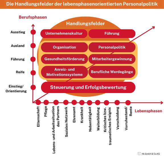 Handlungsfelder lebensphasenorientierte Personalpolitik | © ifb GmbH & Co.KG Handlungsfelder lebensphasenorientierte Personalpolitik | © ifb GmbH & Co.KG