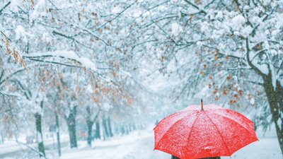 gibt-es-ein-recht-auf-kaeltefrei | © AdobeStock |Bits and Splits