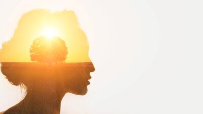 resilienz-fuer-eine-gesunde-amtszeit-des-betriebsrats | © AdobeStock | 224775662 | primipil