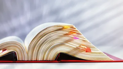Diese Gesetze sollten Betriebsräte kennen | © Adobe | Ingo Bartussek