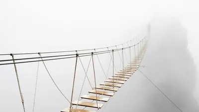 Manuela Steffl über Herausforderungen im täglichen Betriebsratsalltag  | © AdobeStock | Svetlana Lukienko