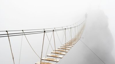 Manuela Steffl über Herausforderungen im täglichen Betriebsratsalltag  | © AdobeStock | Svetlana Lukienko