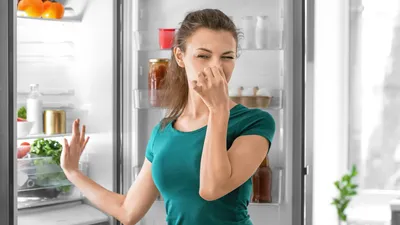 Snacks und Schimmel: Streit um den Kühlschrank im Job  | © AdobeStock | Pixel-Shot