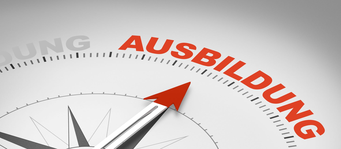 Ausbildung Studie | © AdobeStock | Coloures-Pic