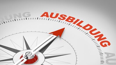 Ausbildung Studie | © AdobeStock | Coloures-Pic