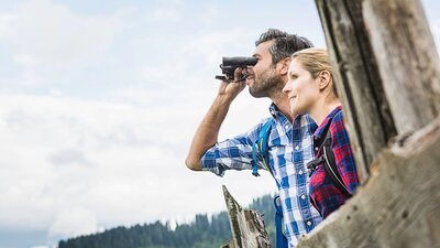 Mitbestimmung-Oesterreich | © AdobeStock | Stefanie