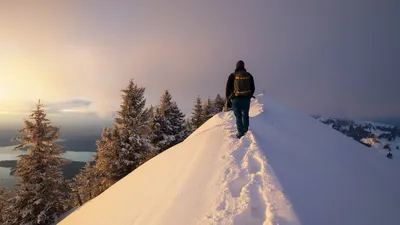 Erfolgreich sein als Ein-Personen-Interessenvertretung | © stock.adobe.com | Joseph Maniquet