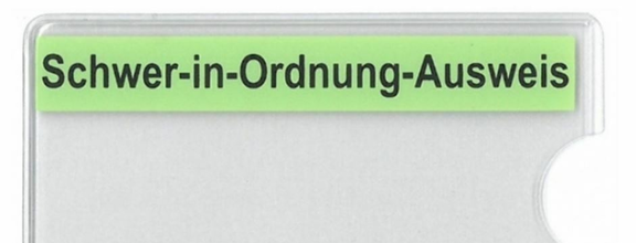 "Schwer-in-Ordnung-Ausweis"-Hülle "Schwer-in-Ordnung-Ausweis"-Hülle