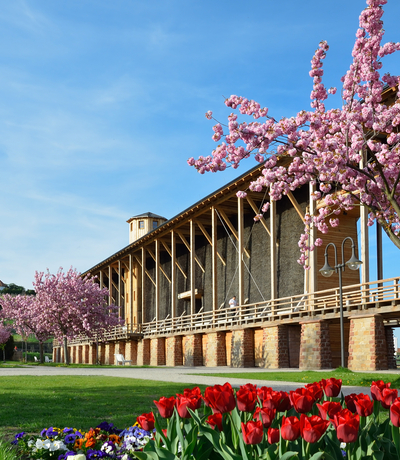 Gradierwerk am Kurpark | © 	Fineart Panorama | Adobe Stock