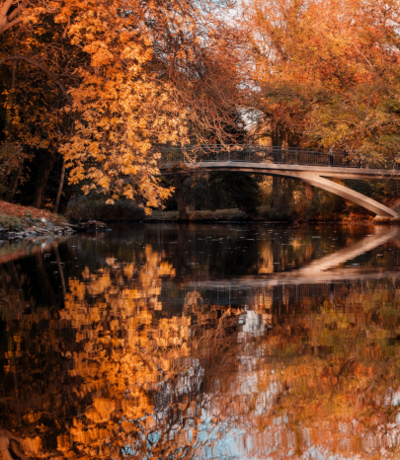 Oker bei Braunschweig | © Ricardo / Adobe Stock
