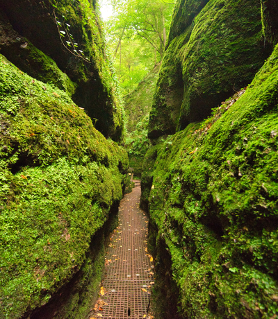 Eisenach Drachenschlucht | © Adobe Stock / midgardson
