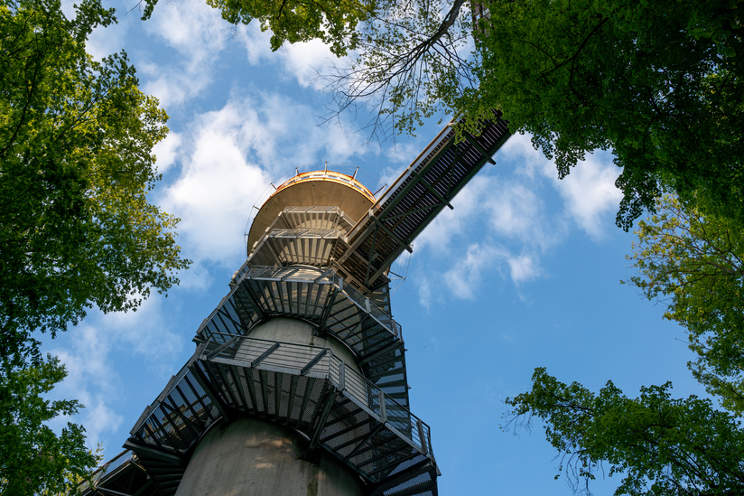 Turm zum Baumwipfelpfad | © AdobeStock | ohenze