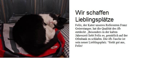 Katze auf ifb-Tasche | © ifb